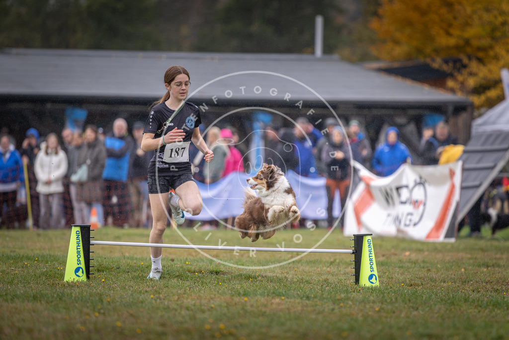Pfotenfotografie_DV3A9800 | Hundefotografie, Tierfotograf, Pfotenfotografie, Fotoshooting Hund, Hunde Portrait, Hundesport, Hundeportraits, Heideshooting, Hunde, Sportfotograf, Hundefotograf, Turnierhundsport, THS,  - Realisiert mit Pictrs.com
