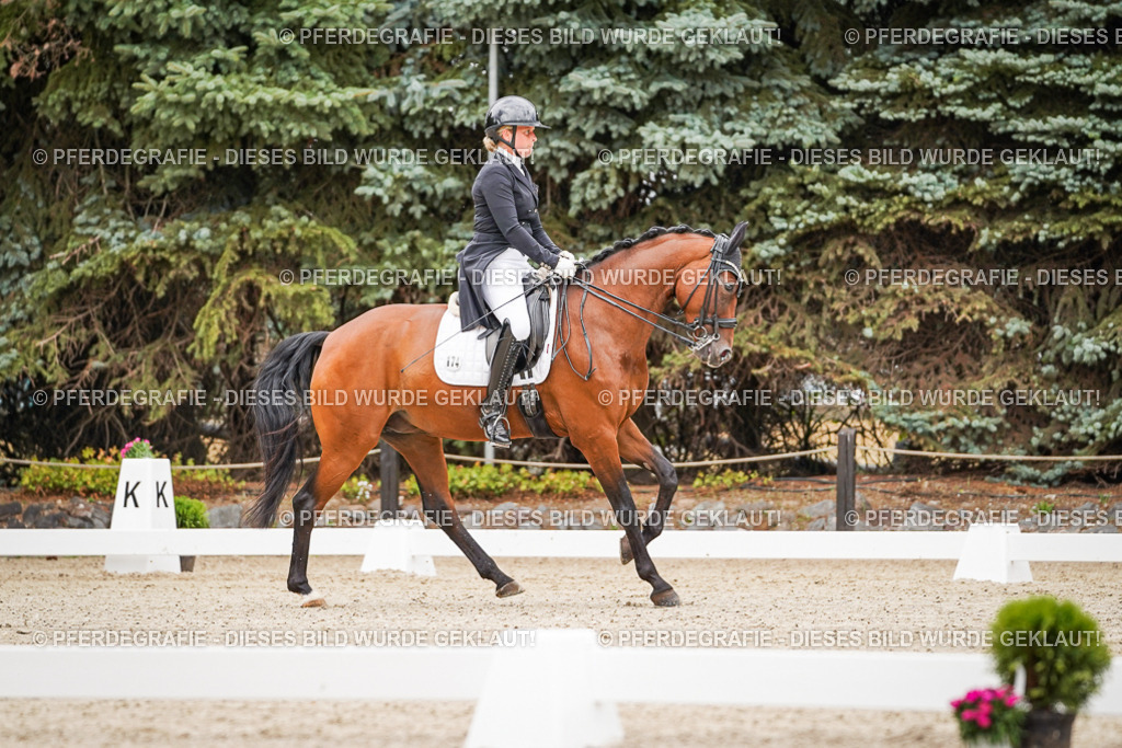 DSC07257 | Pferdegrafie