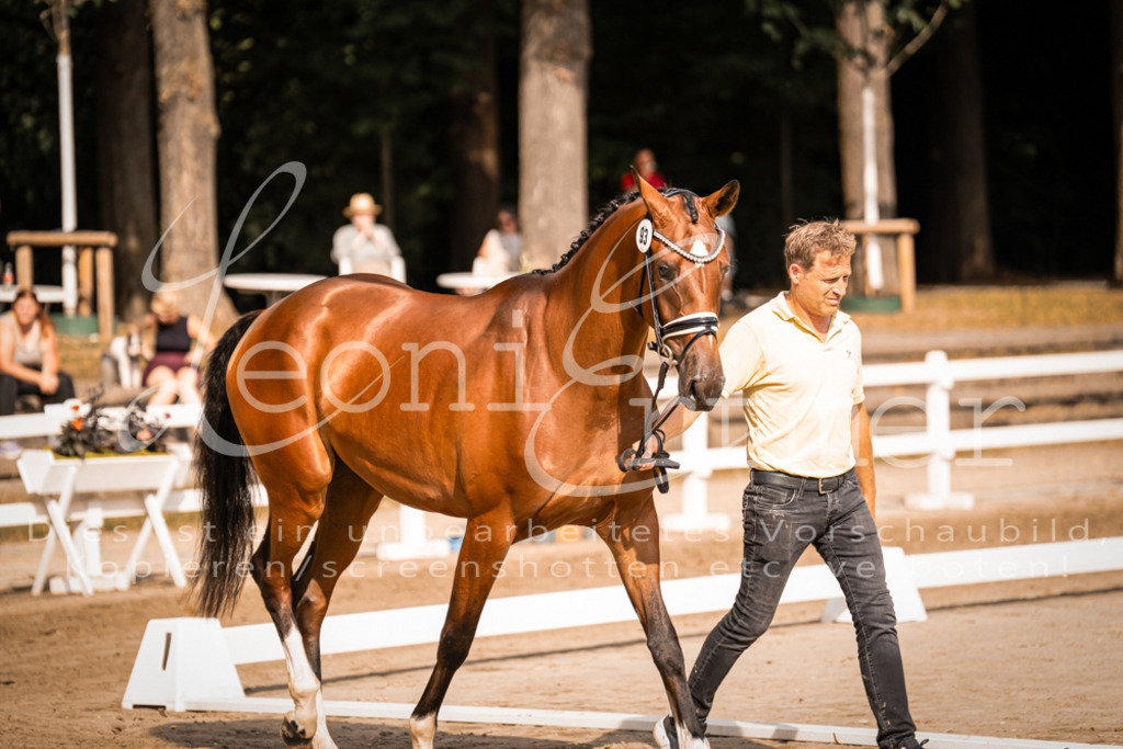 FrER00099 | Leoni Ertmer Photography - Realisiert mit Pictrs.com