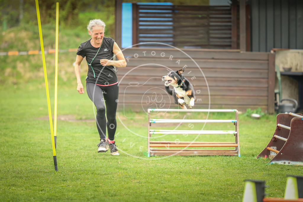 Pfotenfotografie_0L8A0051 | Hundefotografie, Tierfotograf, Pfotenfotografie, Fotoshooting Hund, Hunde Portrait, Hundesport, Hundeportraits, Heideshooting, Hunde, Sportfotograf, Hundefotograf, Turnierhundsport, THS,  - Realisiert mit Pictrs.com