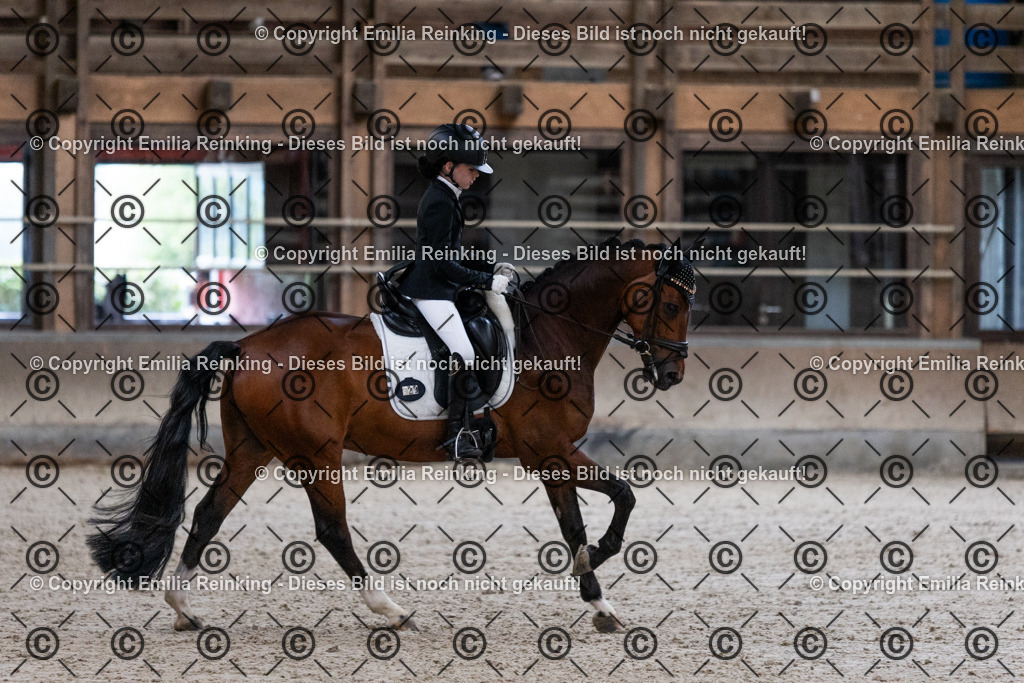 CL5A5026 | Emilia Reinking Fotografie - Realisiert mit Pictrs.com