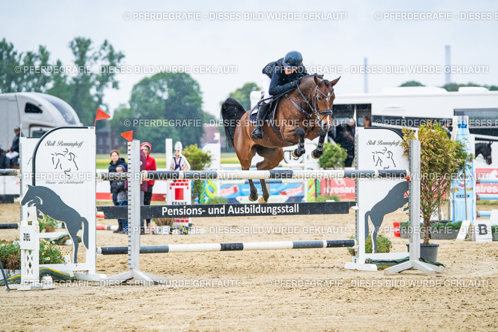 DSC09670 | Pferdegrafie