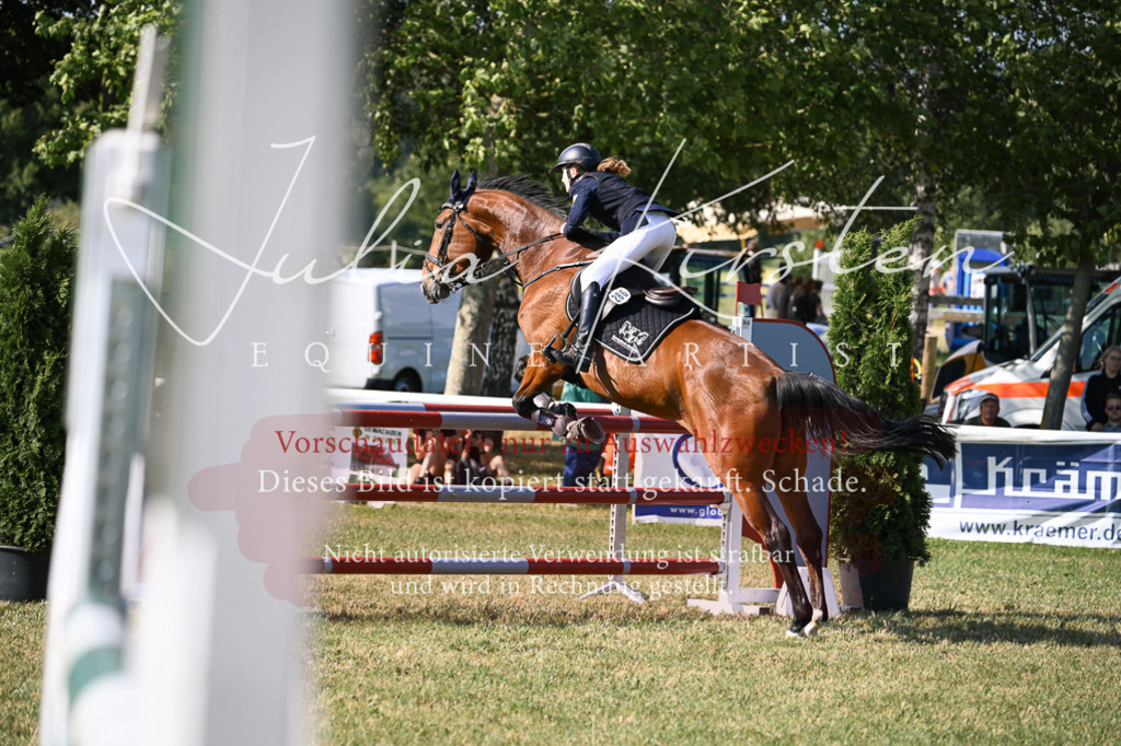 DSC_1331 | Pferde- und Turnierfotografie in Westsachsen. Pferdeportraits, Auftragszeichnungen und intuitive Kunst.