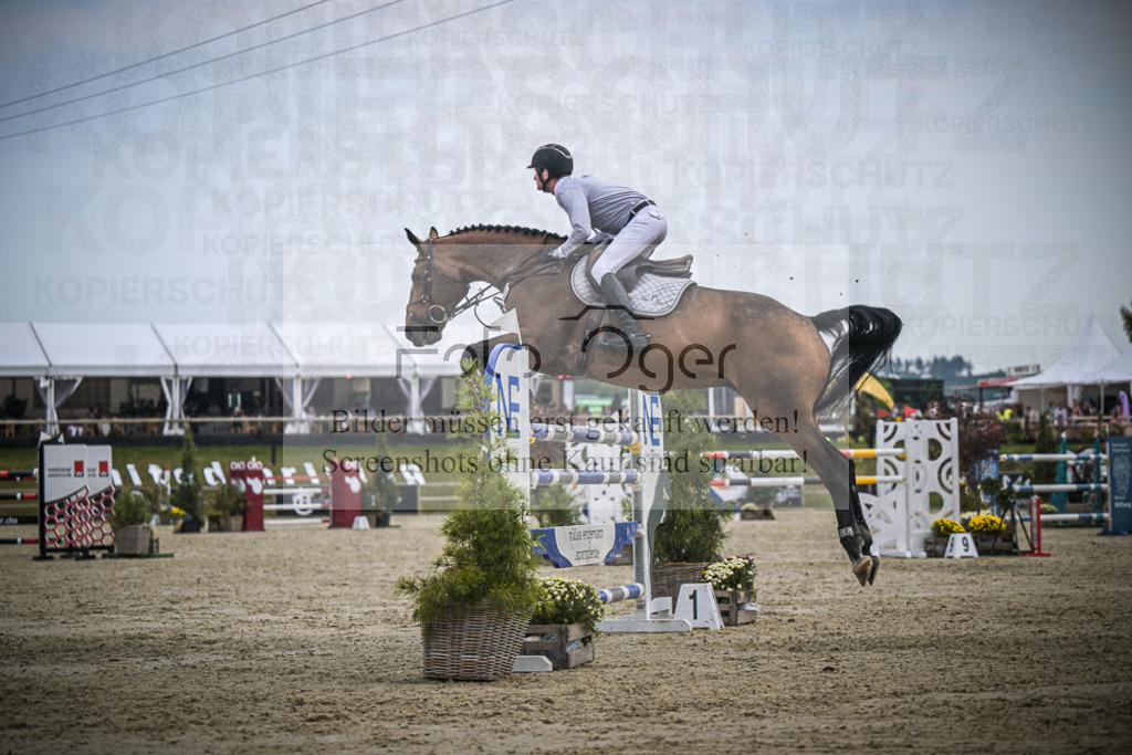 DOS_1595 | Entdecke hochwertige Reitturnierfotos von Foto Oger. Professionell, emotional und authentisch – jetzt Lieblingsmomente im Shop bestellen.Deutschlandweite Turnierfotografie. - Realisiert mit Pictrs.com