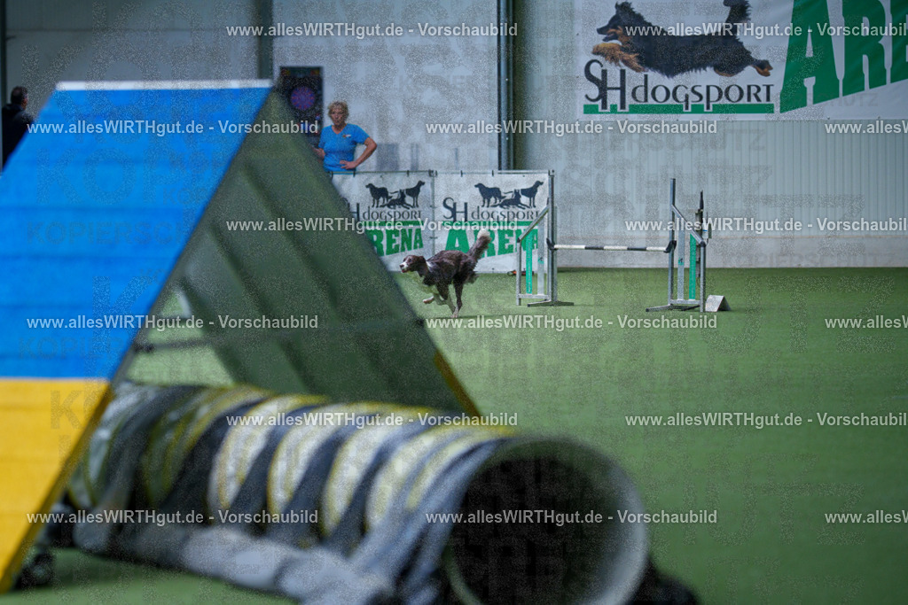 @allesWIRTHgut_Tierfotografie - www.allesWIRTHgut.de - 2604251241-7R502464 | Professionelle Tierfotografie in Mönchengladbach von Daniel Wirth (allesWIRTHgut). Liebevolle & natürliche Bilder von Hunden & Katzen für unvergessliche Erinnerungen.