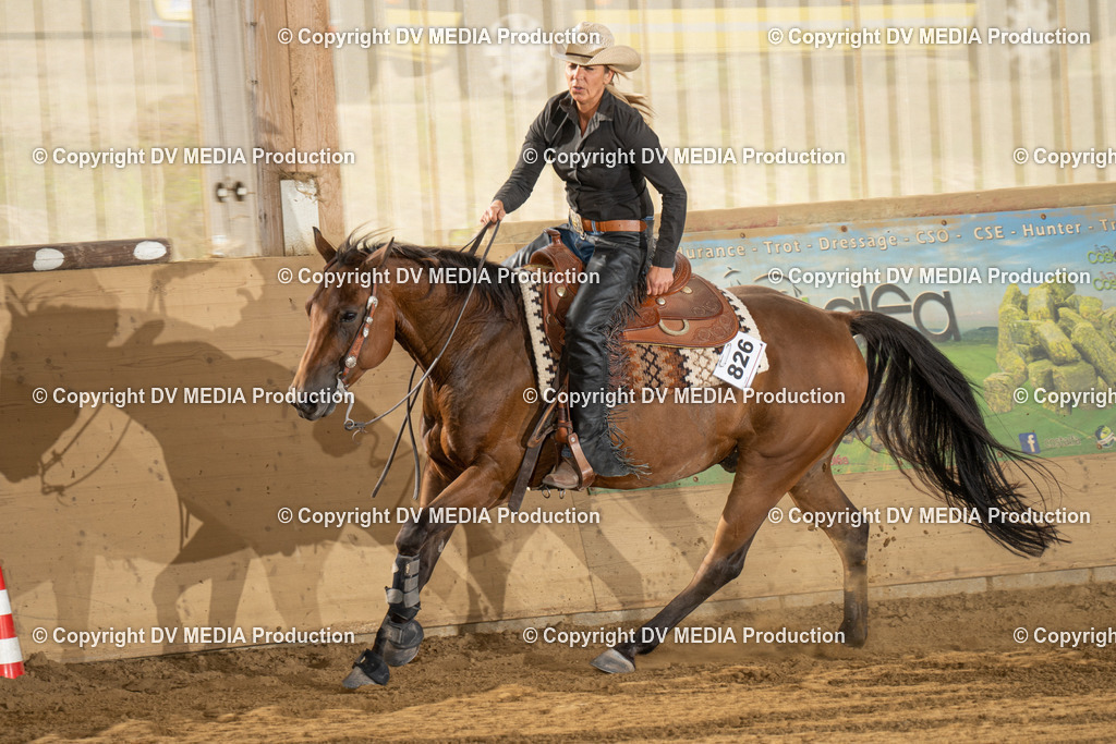 LAU01839 | dv-media-shop - Realisiert mit Pictrs.com