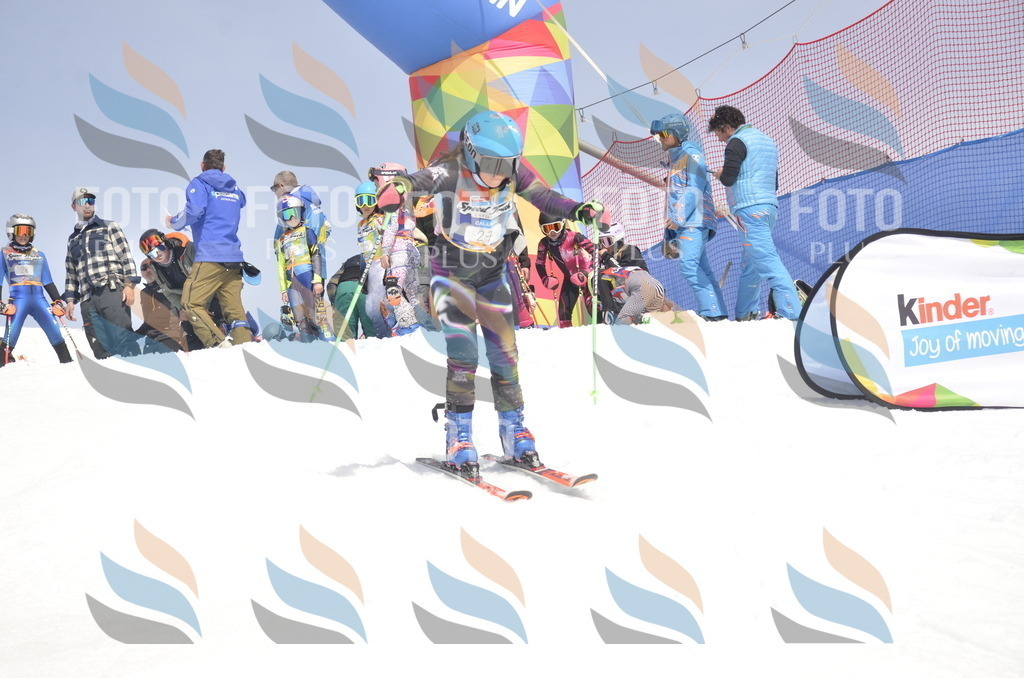 _ELE8892 | holidayphoto