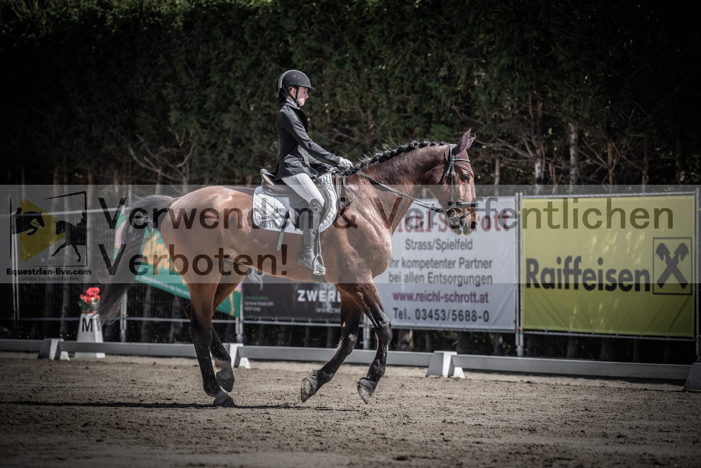DSC_9888 | equestrian-live-com