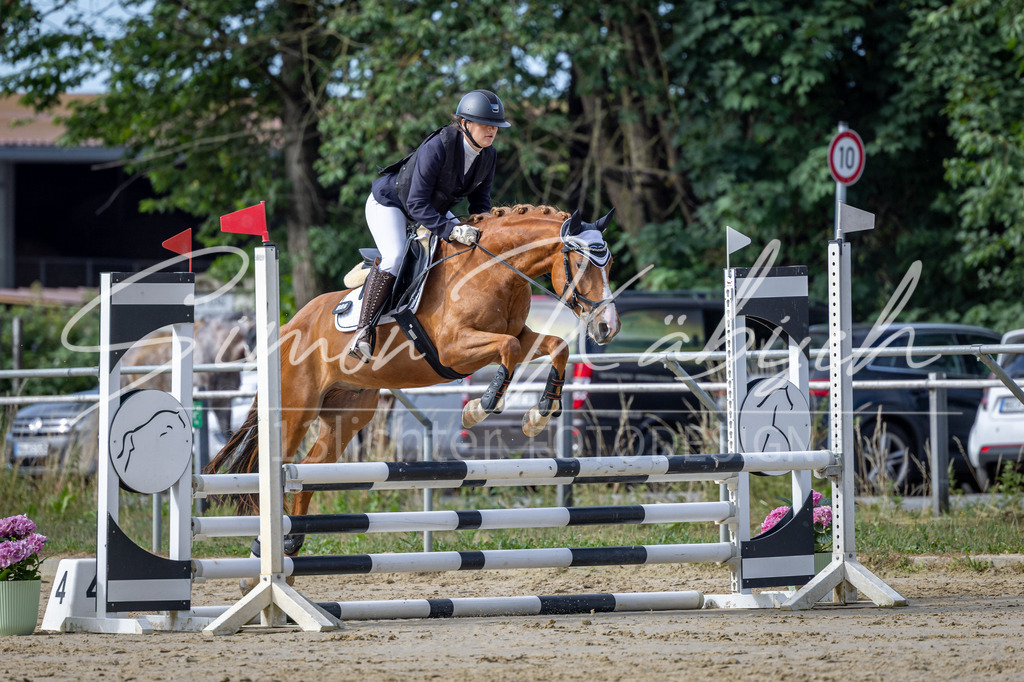 20260704-_3LI6477 | Tierfotografie Pferde, Hunde, Katzen, Haustiere.
Turnierfotografie Reitturniere, Reiten, Springreiten, Dressur in Hanau, dem Main-Kinzig-Kreis und dem Rhein-Main- Gebiet um Frankfurt