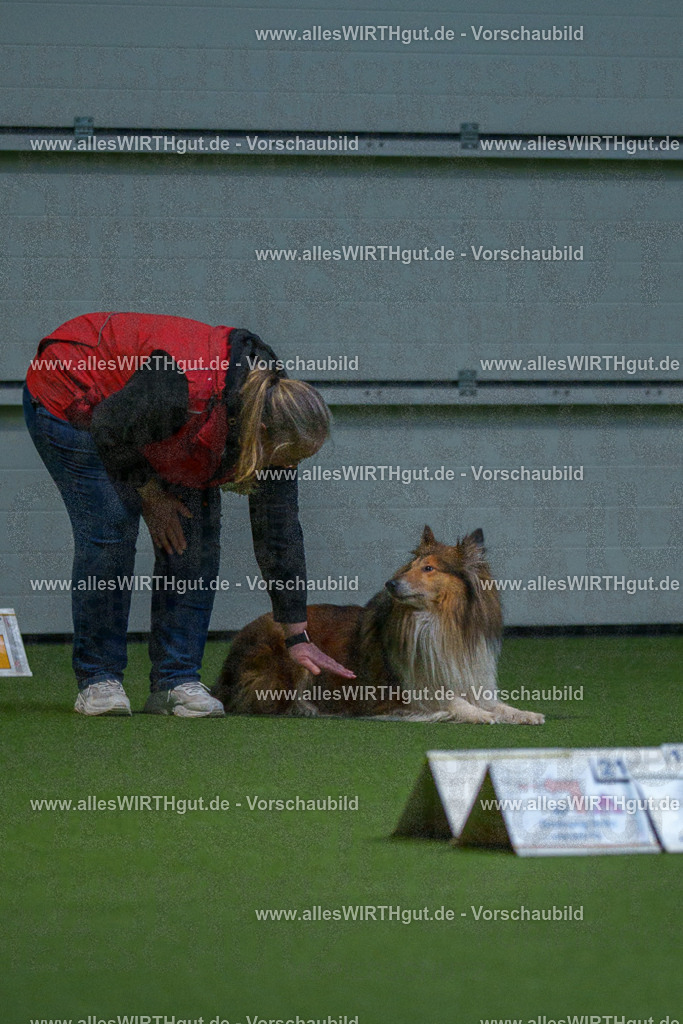 7R500476 | Professionelle Tierfotografie in Mönchengladbach von Daniel Wirth (allesWIRTHgut). Liebevolle & natürliche Bilder von Hunden & Katzen für unvergessliche Erinnerungen.