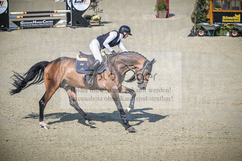 DOS_2718 | Entdecke hochwertige Reitturnierfotos von Foto Oger. Professionell, emotional und authentisch – jetzt Lieblingsmomente im Shop bestellen.Deutschlandweite Turnierfotografie. - Realisiert mit Pictrs.com