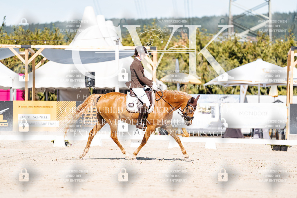CK909087 | Turnierfotografie Pferdefotografie Trier Rheinland-Pfalz Pferdesport Reitsport Tierfotografie Sportfotografie Pferdevideo Pferdevideografie Equestrianvideography equestrianphotography  - Realisiert mit Pictrs.com