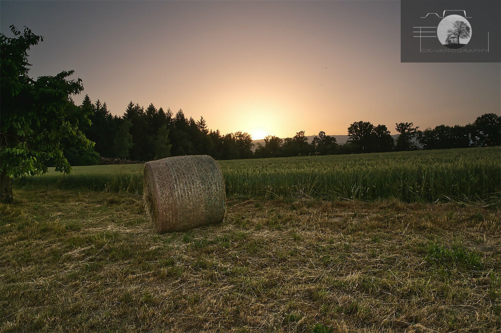 Sommerlicher Sonnenuntergang | Strohballen neben Kirschbäumen. Im Hintergrund geht die Sonne hinter dem Jura unter. - Realisiert mit Pictrs.com