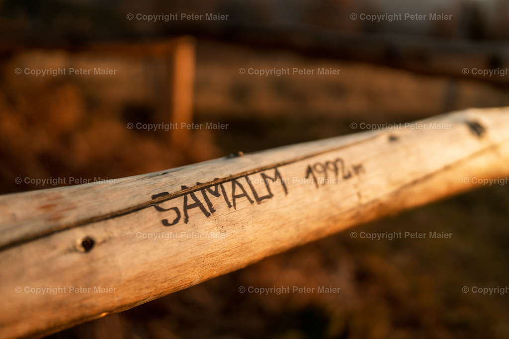 Samalm_Herbst_Lesachtal_2022-1461 | piet_flosse