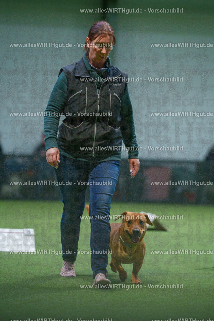 7R502376 | Professionelle Tierfotografie in Mönchengladbach von Daniel Wirth (allesWIRTHgut). Liebevolle & natürliche Bilder von Hunden & Katzen für unvergessliche Erinnerungen.