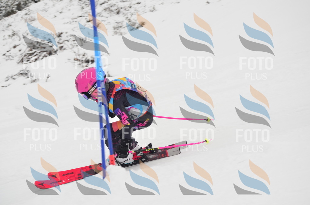 C1303 | holidayphoto