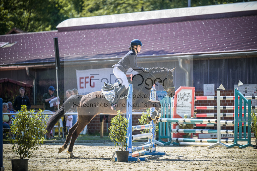 DOS_0391 | Entdecke hochwertige Reitturnierfotos von Foto Oger. Professionell, emotional und authentisch – jetzt Lieblingsmomente im Shop bestellen.Deutschlandweite Turnierfotografie. - Realisiert mit Pictrs.com