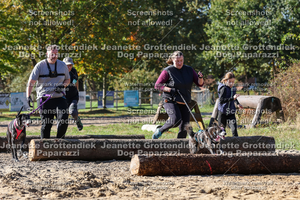 Dog Paparazzi - Strongdog 10-25-2835 | Dog Paparazzi Jeanette Grottendiek Fotografie & Videografie - Realisiert mit Pictrs.com