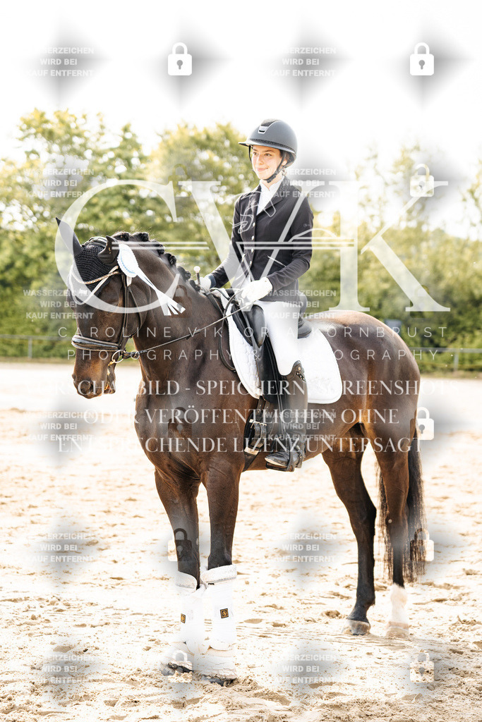 CK703605 | Turnierfotografie Pferdefotografie Trier Rheinland-Pfalz Pferdesport Reitsport Tierfotografie Sportfotografie Pferdevideo Pferdevideografie Equestrianvideography equestrianphotography  - Realisiert mit Pictrs.com
