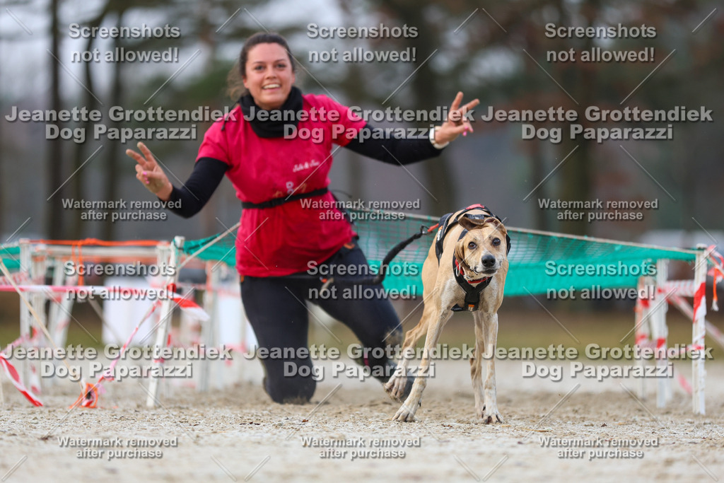 Dog Paparazzi - Strongdog North Mrz26-3639 | Dog Paparazzi Jeanette Grottendiek Fotografie & Videografie - Realisiert mit Pictrs.com