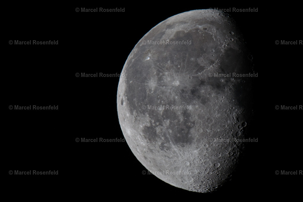 _DSC6195 | foto-rosenfeld