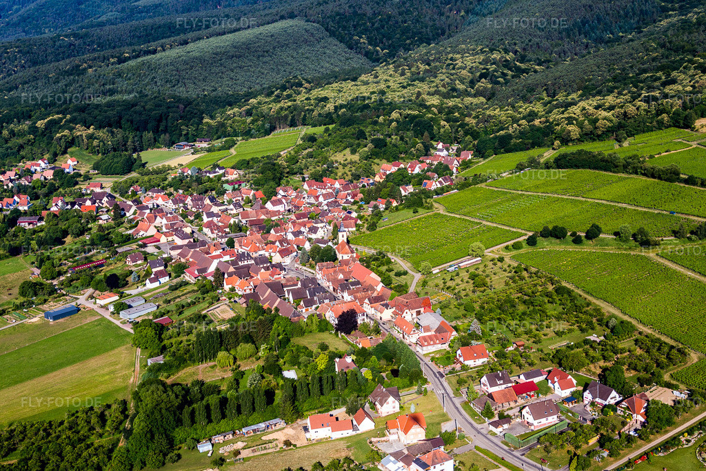 Luftbild: landwirtschaftlichen Feldern und Nutzflächen in Rott im Bundesland Bas-Rhin in Frankreich. Foto: IMG_083009.jpg vom 26.06.2015 durch Werner Riehm/FLY-FOTO.de