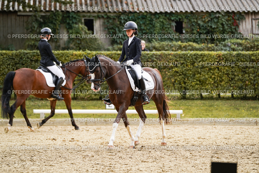 DSC00738 | Pferdegrafie