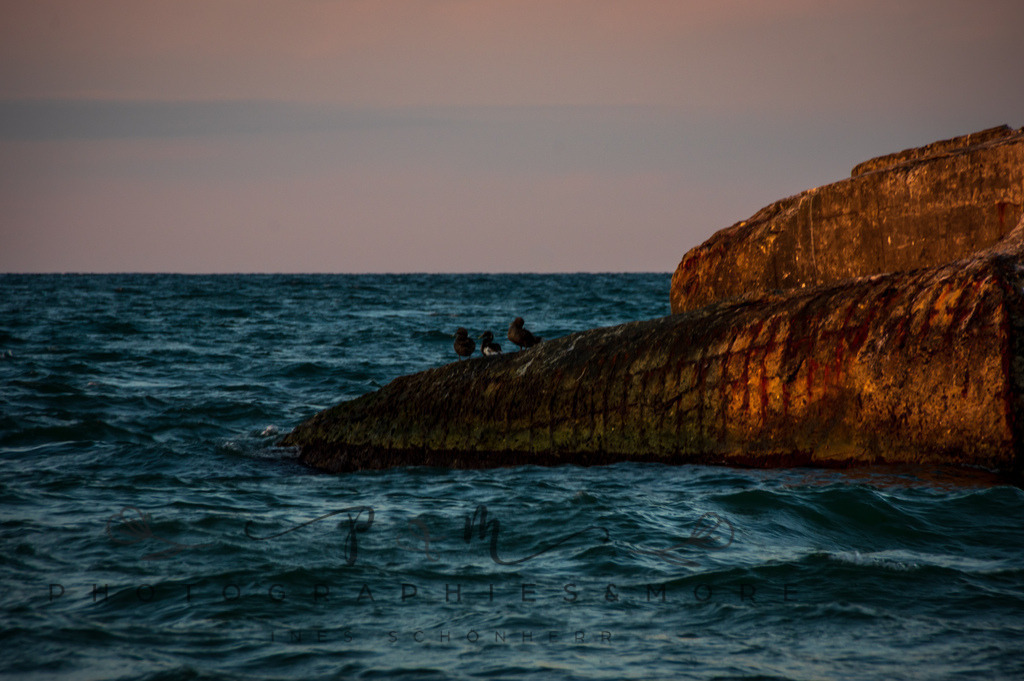 _Sommer2022-0917 | Photographies and more - Realisiert mit Pictrs.com