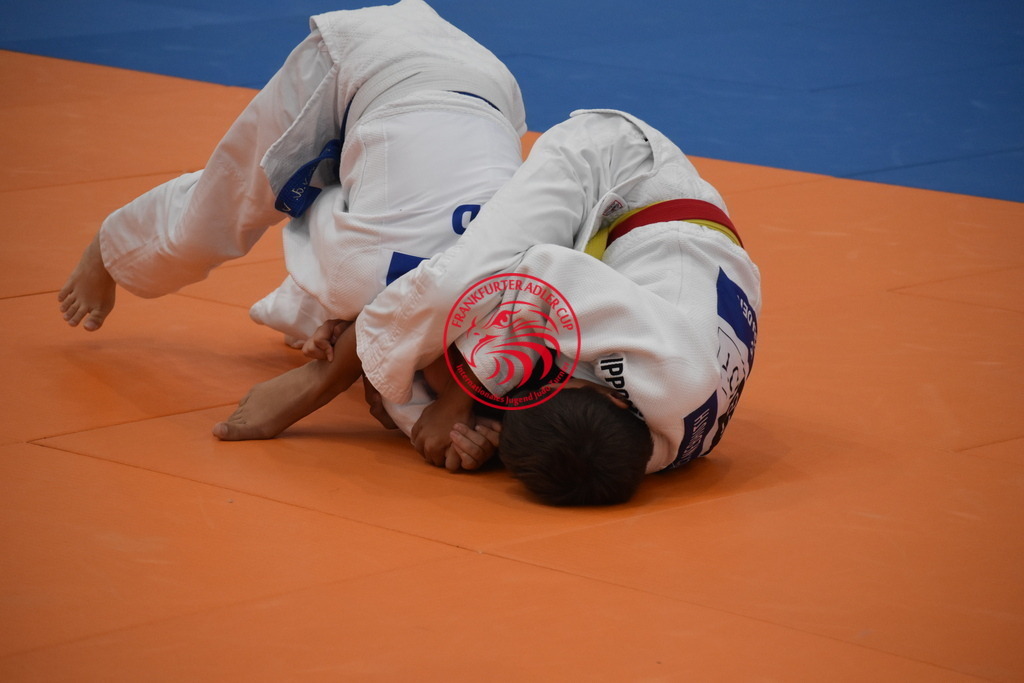 DSC_2825 | Fotos vom Adler Cup - Pictures from Adler Cup

Hier findet Ihr alle Eindrücke und großen Momente der Adler Cup Wochenenden. Here you will find all impressions and great moments of the Adler Cup weekends. - Realisiert mit Pictrs.com