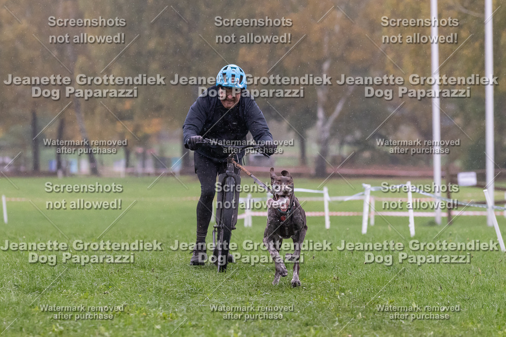 Dog Paparazzi - SD CaniX Championship 2025-898 | Dog Paparazzi Jeanette Grottendiek Fotografie & Videografie - Realisiert mit Pictrs.com