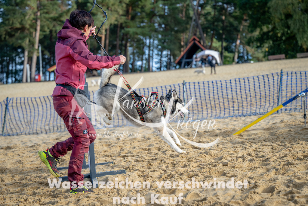 0952_ZZ92965 | kk-dogfotos