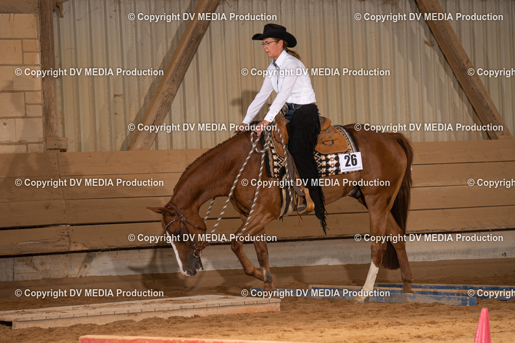 NID00632 | dv-media-shop - Realisiert mit Pictrs.com