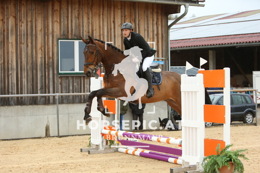 DL2Q1010 | Willkommen bei Brunnmayr - Design & Fotografie – Ihrem Spezialisten für Reitturniere und Pferdeveranstaltungen in Oberösterreich, Salzburg und Bayern! Seit über 17 Jahren sind wir leidenschaftlich dabei.