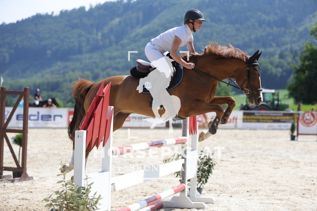 0P6A0308 | Willkommen bei Brunnmayr - Design & Fotografie – Ihrem Spezialisten für Reitturniere und Pferdeveranstaltungen in Oberösterreich, Salzburg und Bayern! Seit über 17 Jahren sind wir leidenschaftlich dabei.