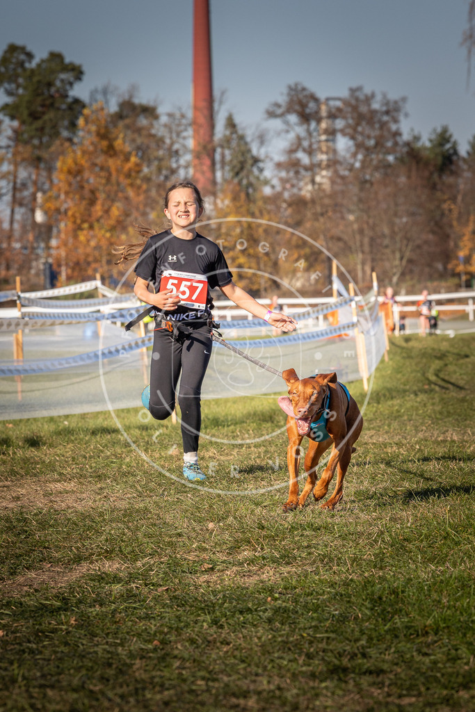 CaniXpix_0L8A7806 | Hundefotografie, Tierfotograf, Pfotenfotografie, Fotoshooting Hund, Hunde Portrait, Hundesport, Hundeportraits, Heideshooting, Hunde, Sportfotograf, Hundefotograf, Turnierhundsport, THS,  - Realisiert mit Pictrs.com