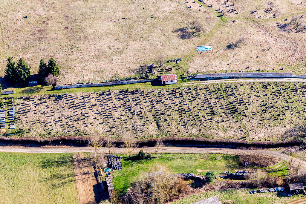 Vue aérienne: Cimetière à Ettendorf dans le département Bas Rhin, France. Photo: IMG_097508.jpg prise le 16/03/2017 par Werner Riehm/FLY-FOTO.eu – Résolution de l'original: 5472 x 3648 px