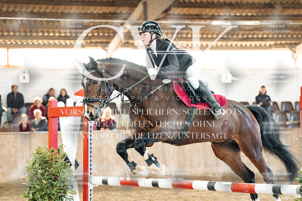 CK904536 | Turnierfotografie Pferdefotografie Trier Rheinland-Pfalz Pferdesport Reitsport Tierfotografie Sportfotografie Pferdevideo Pferdevideografie Equestrianvideography equestrianphotography  - Realized with Pictrs.com