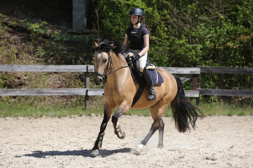 0P6A8859 | Willkommen bei Brunnmayr - Design & Fotografie – Ihrem Spezialisten für Reitturniere und Pferdeveranstaltungen in Oberösterreich, Salzburg und Bayern! Seit über 17 Jahren sind wir leidenschaftlich dabei.
