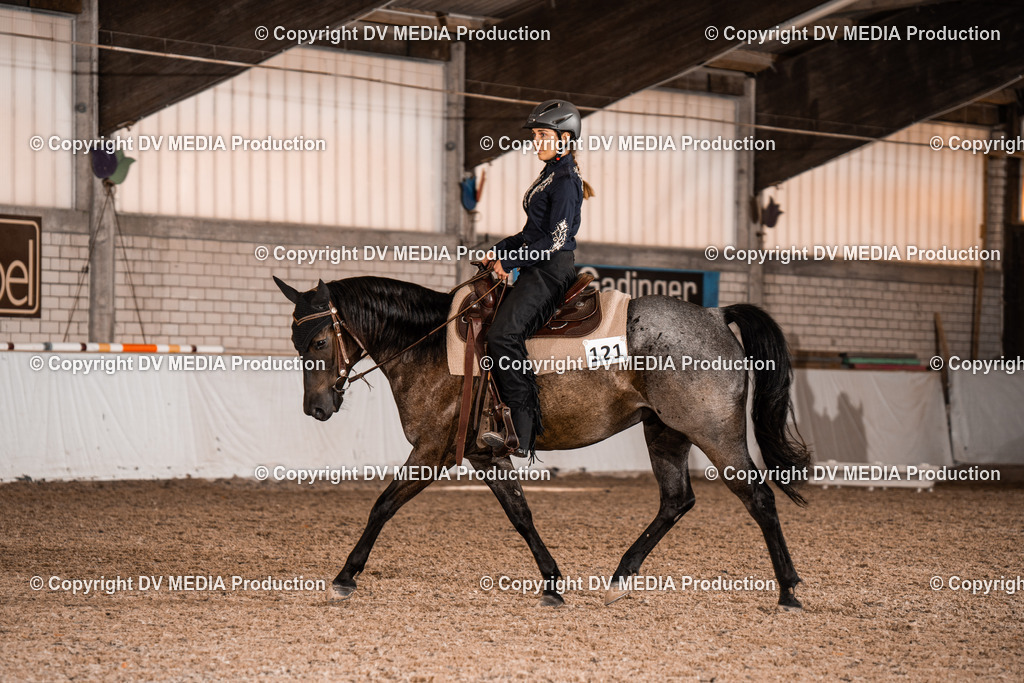 ZH100184 | dv-media-shop - Realisiert mit Pictrs.com