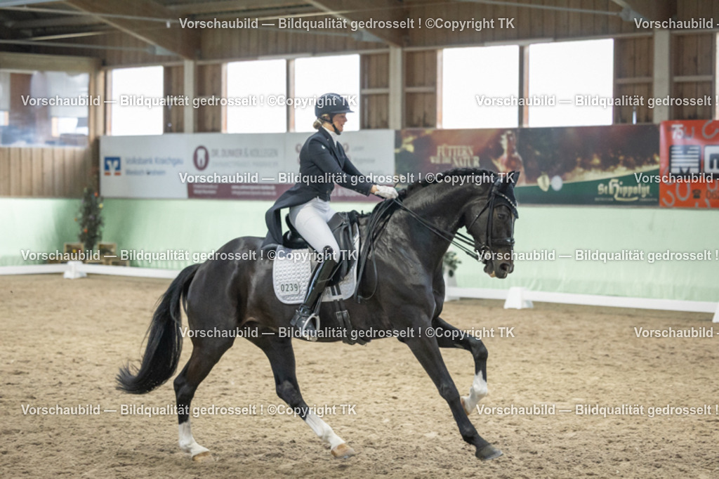 _D5A6935 | Emotionale Pferde- & People-Fotografie rund um Heidelberg, Leimen & Umgebung. Natürliche Fotos von Pferd, Mensch & Familie. Jetzt Termin sichern!