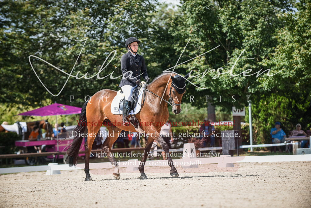 DSC_9035 | Pferde- und Turnierfotografie in Westsachsen. Pferdeportraits, Auftragszeichnungen und intuitive Kunst.