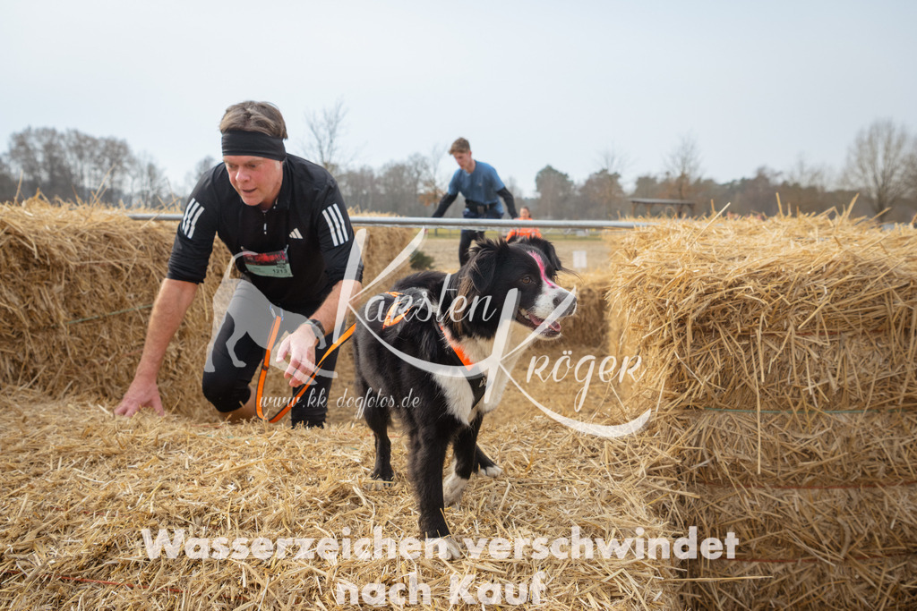 1041_ZZ97795 | kk-dogfotos