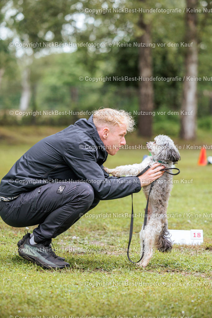 RO-Blumenthal-2026-Nickbest-Hundefotografie-4771 | Dein Hund! Dein Moment! Deine Erinnerungen! Hundefotografie in Bremen Blumenthal. Ich fange die besonderen Momente deines Vierbeiners ein – ob Indoor mit Blitzanlage oder in der freien Natur. Sicher dir dein Moment und dein Termin für eure Erinnerungen.