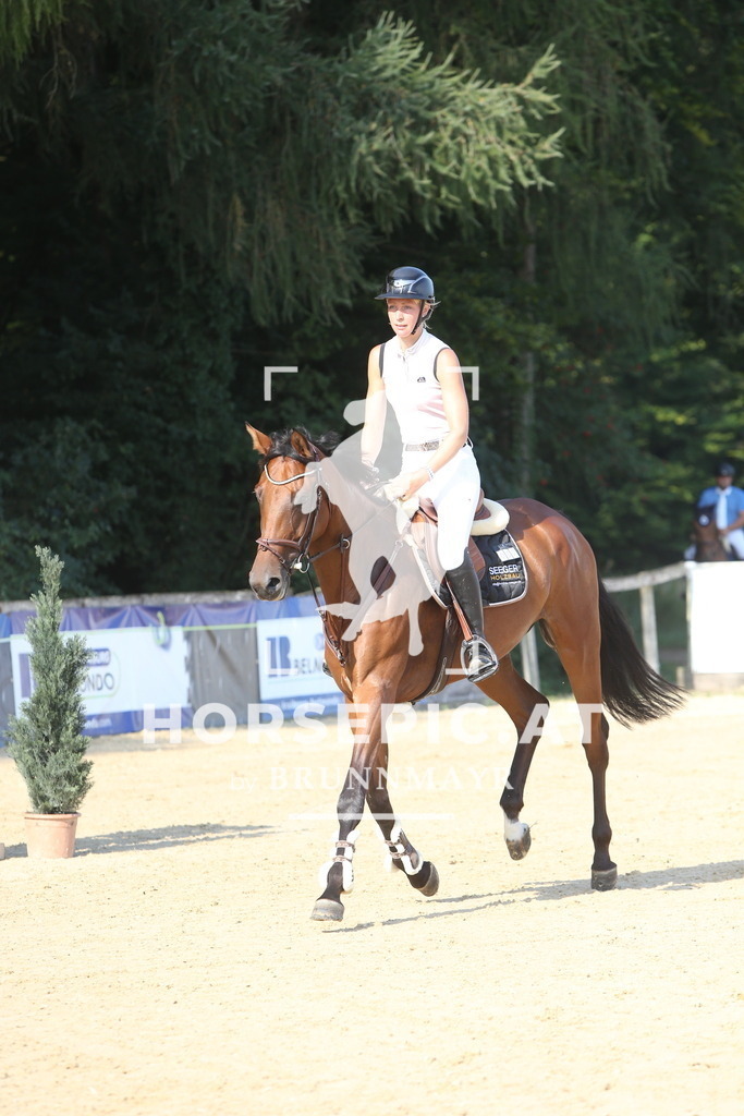 DL2Q0087 | Willkommen bei Brunnmayr - Design & Fotografie – Ihrem Spezialisten für Reitturniere und Pferdeveranstaltungen in Oberösterreich, Salzburg und Bayern! Seit über 17 Jahren sind wir leidenschaftlich dabei.