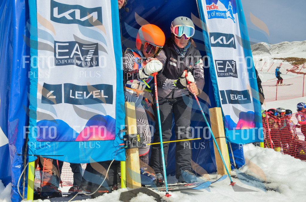 _ELE4564 | holidayphoto