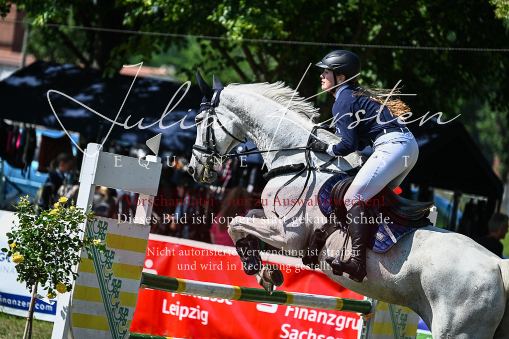 DSC_1404 | Pferde- und Turnierfotografie in Westsachsen. Pferdeportraits, Auftragszeichnungen und intuitive Kunst.