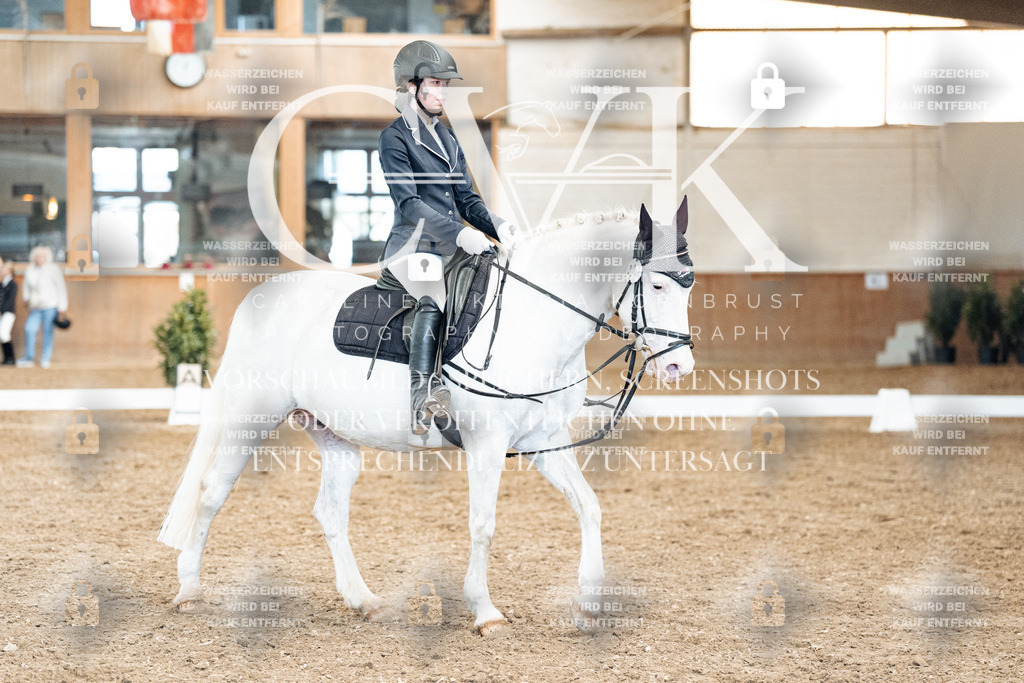 CK900641 | Turnierfotografie Pferdefotografie Trier Rheinland-Pfalz Pferdesport Reitsport Tierfotografie Sportfotografie Pferdevideo Pferdevideografie Equestrianvideography equestrianphotography  - Realisiert mit Pictrs.com