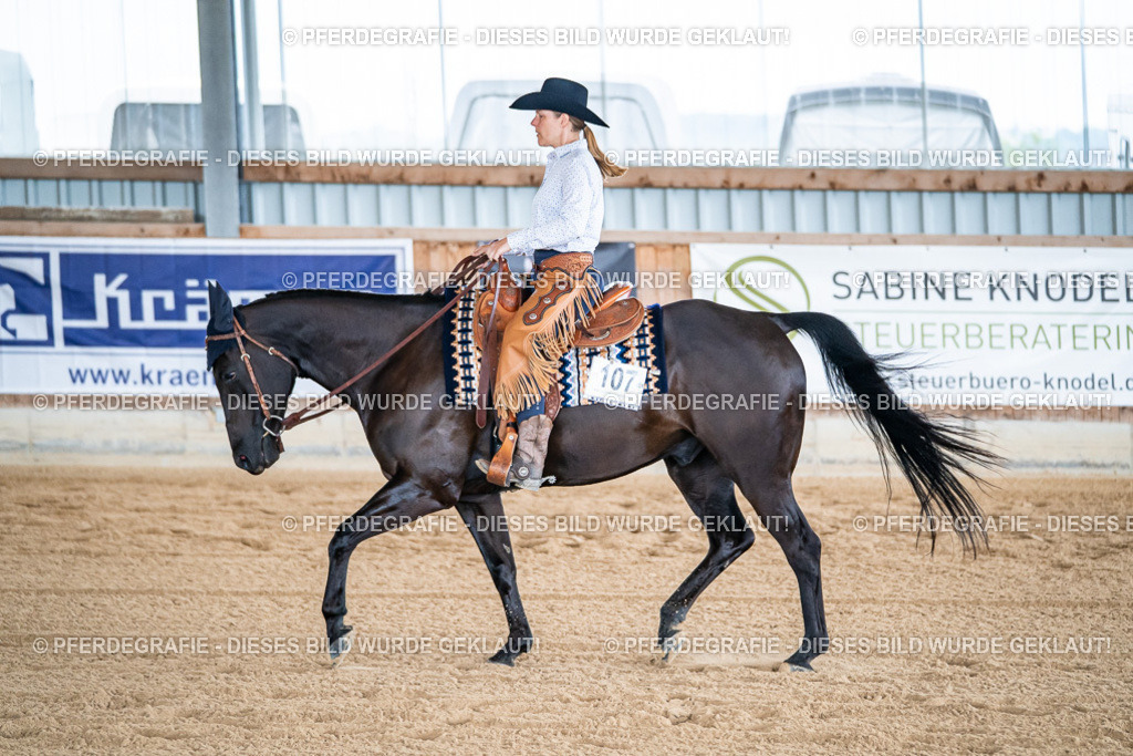 DSC08303 | Pferdegrafie