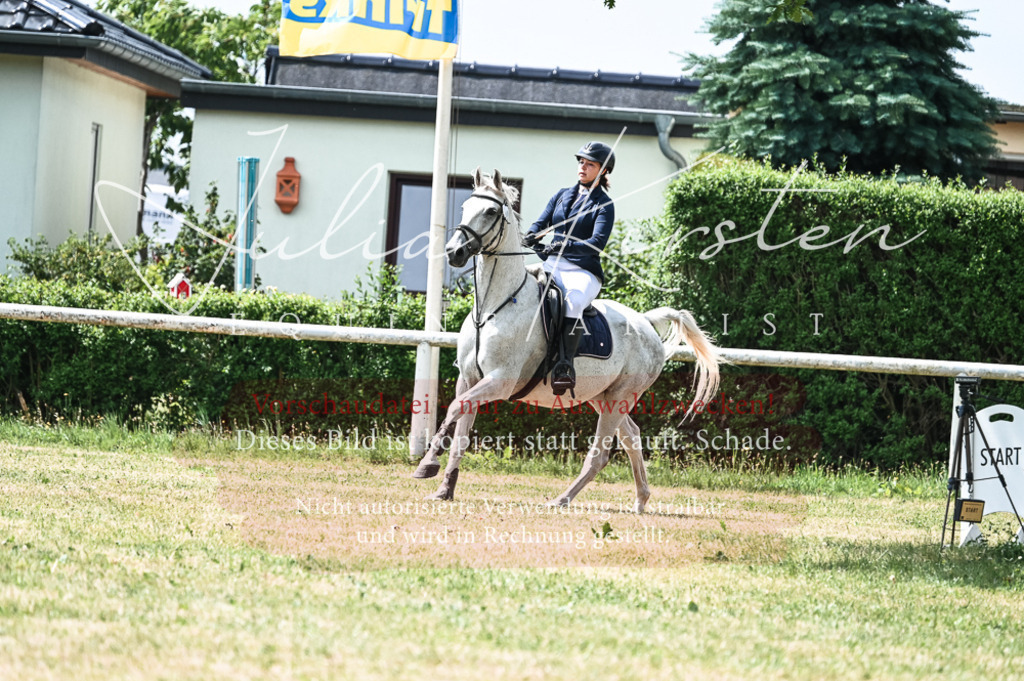 DSC_9224 | Pferde- und Turnierfotografie in Westsachsen. Pferdeportraits, Auftragszeichnungen und intuitive Kunst.