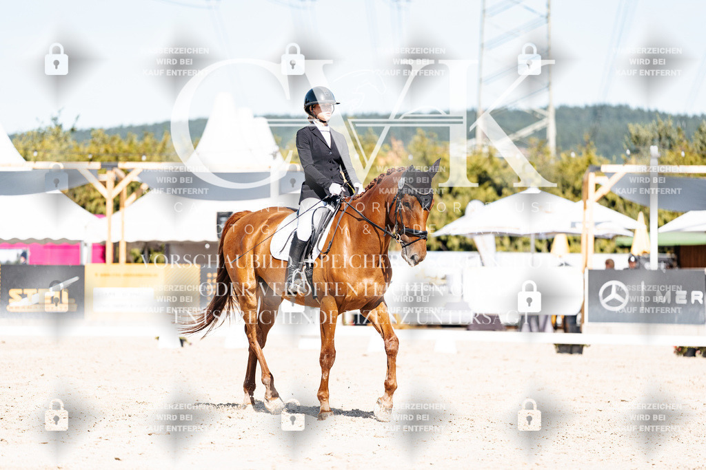 CK908704 | Turnierfotografie Pferdefotografie Trier Rheinland-Pfalz Pferdesport Reitsport Tierfotografie Sportfotografie Pferdevideo Pferdevideografie Equestrianvideography equestrianphotography  - Realisiert mit Pictrs.com